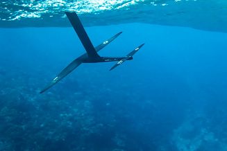 Foil Duotone Front Wing Crest D/LAB 2026 - 3