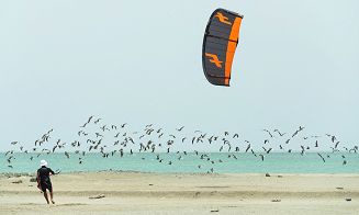 F-ONE Bandit XVI 2024 - 7