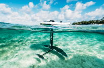 Foil Core Spectrum WIng - 7