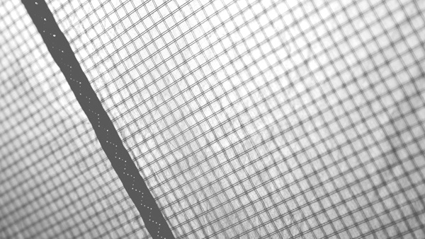 Technoforce Technoforce